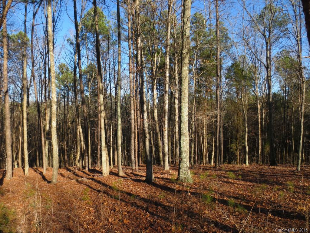 The Sanctuary - Land