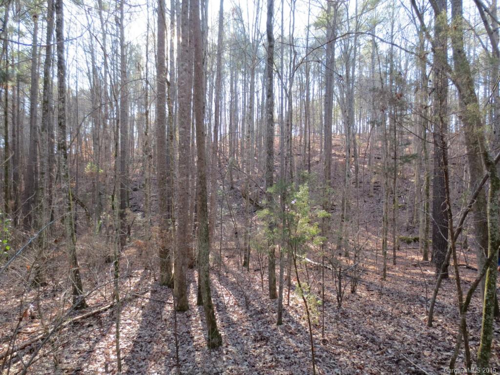 The Sanctuary - Land