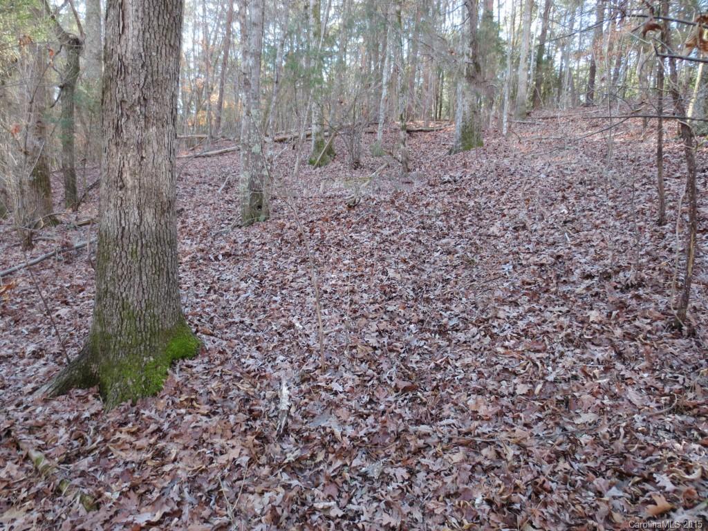 The Sanctuary - Land