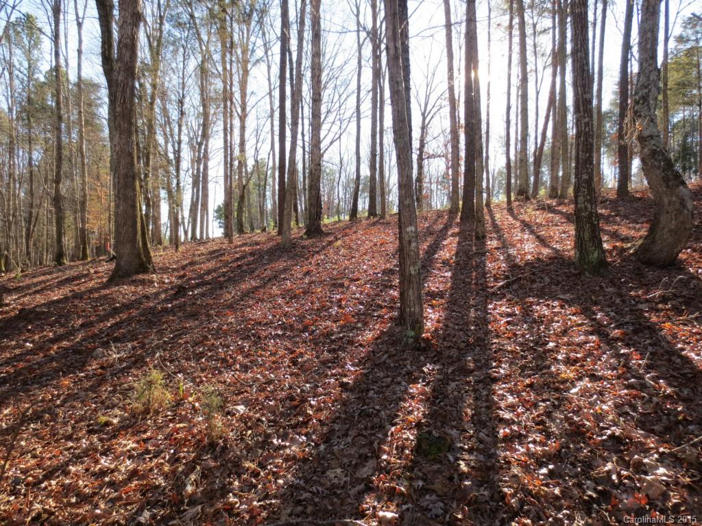 The Sanctuary - Land