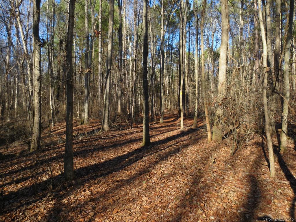 The Sanctuary - Land