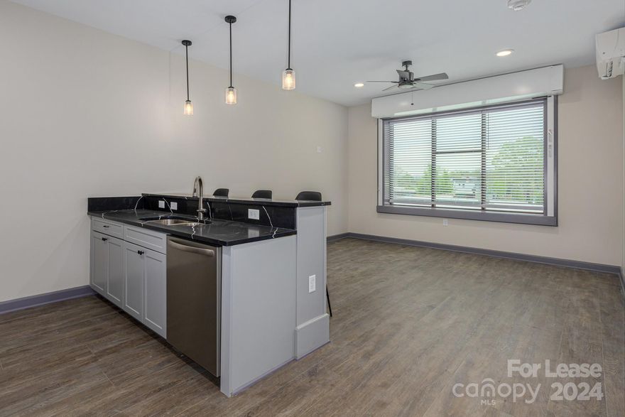 Newly remodeled luxury apartment in beautiful downtown Marion. Step outside onto picturesque Main Street, which offers a vibrant variety of shopping, dining, and nightlife options, yet it maintains the quiet hometown vibe. High ceilings and large windows provide abundant natural light throughout the apartment and allow you to view the mountains surrounding downtown. All utilities, except electricity, are included in rent. Spectrum high-speed internet is provided as well.