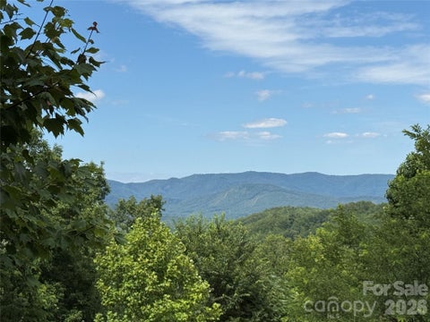 Photo of 0 Scouts Trail #103, Bostic, NC 28018 (MLS # 4397411)