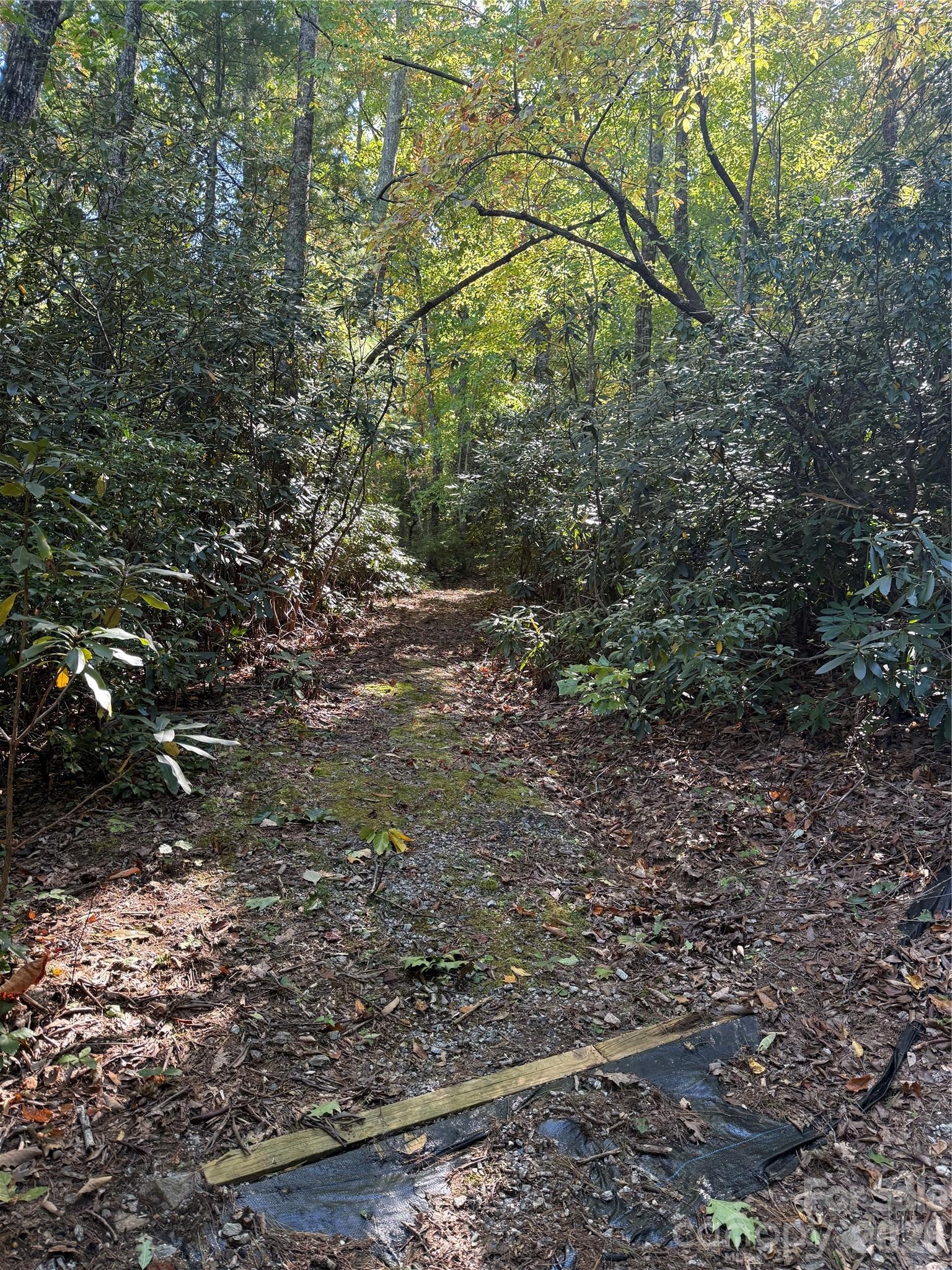 Lot 81 - R Kenmure Drive