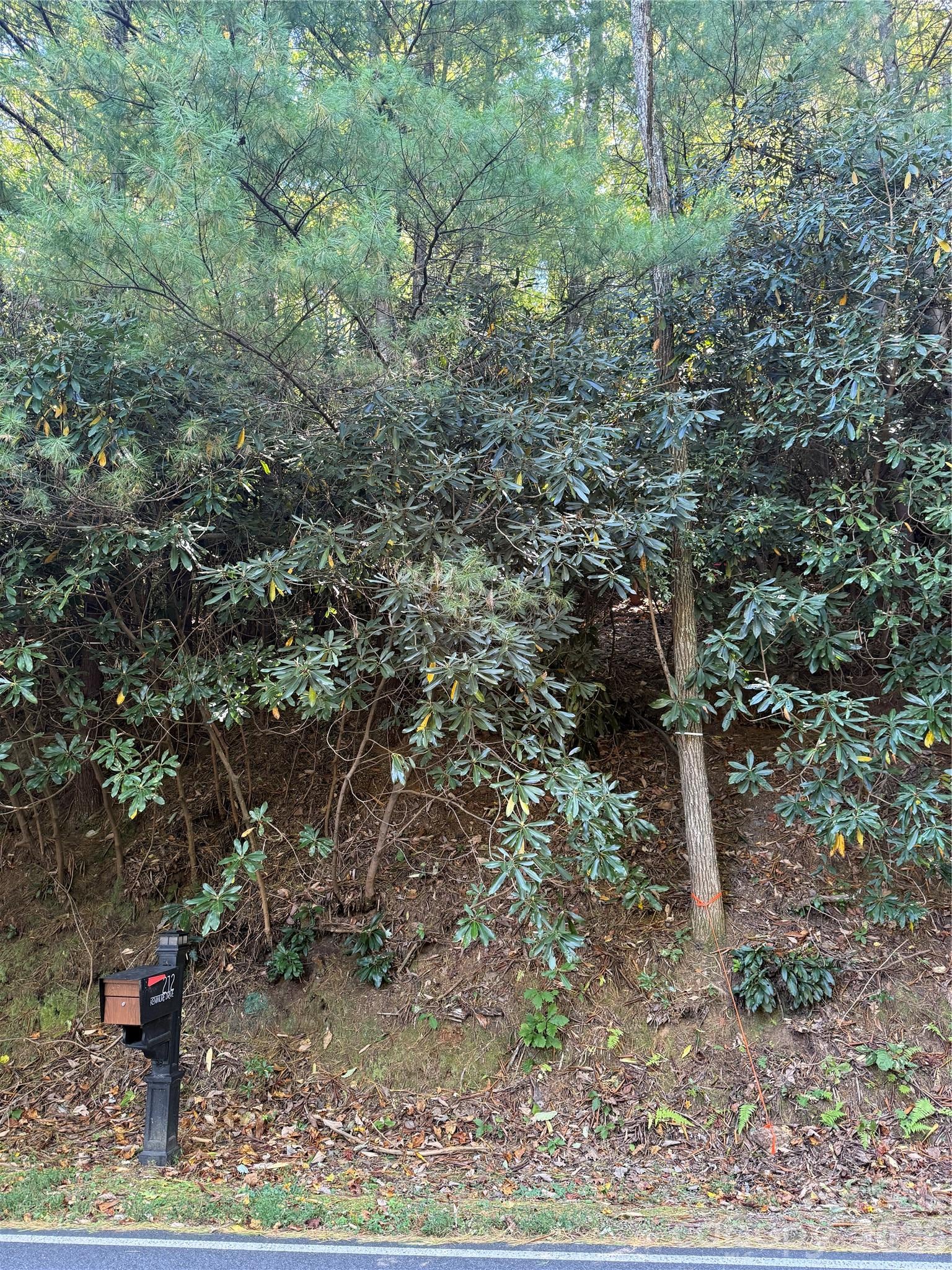 Lot 81 - R Kenmure Drive