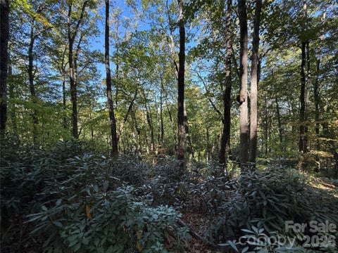 Photo of Lot 81 - R Kenmure Drive, Flat Rock, NC 28731 (MLS # 4436558)