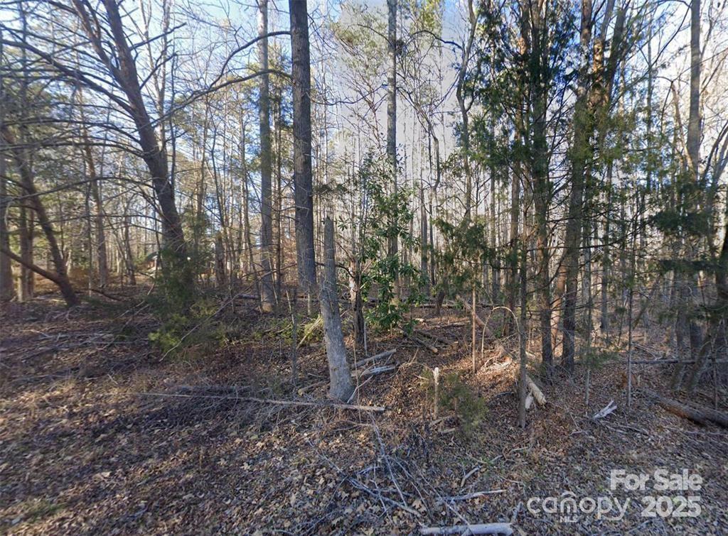 Woodland Hills - Land