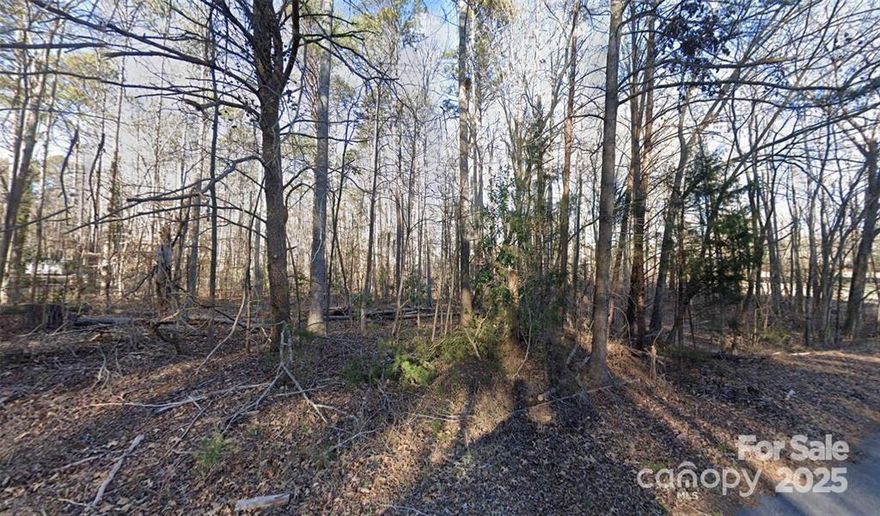 Discover the perfect setting for your dream home with this 3.63-acre lot, located in the sought-after Clover School District. This property is already prepared for development with a completed survey on file and a perc test approved for a 4-bedroom home. With no HOA, you’ll enjoy the freedom to design and build the home and lifestyle you’ve envisioned. The lot offers a beautiful backdrop of trees and a private, peaceful setting—ideal for those who want space while still being close to everything Clover has to offer. Don’t miss the chance to own a spacious, ready-to-build lot in a prime location!