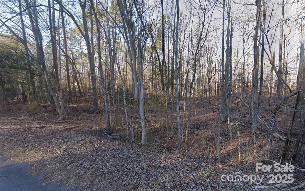 Woodland Hills - Land