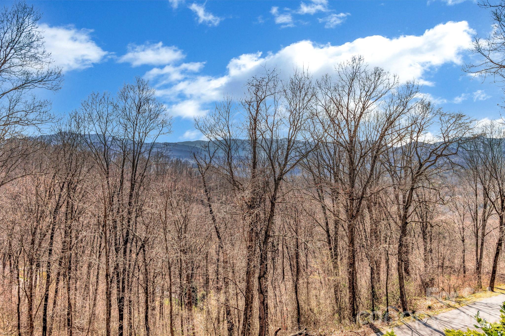 Grassy Top Estates - Residential
