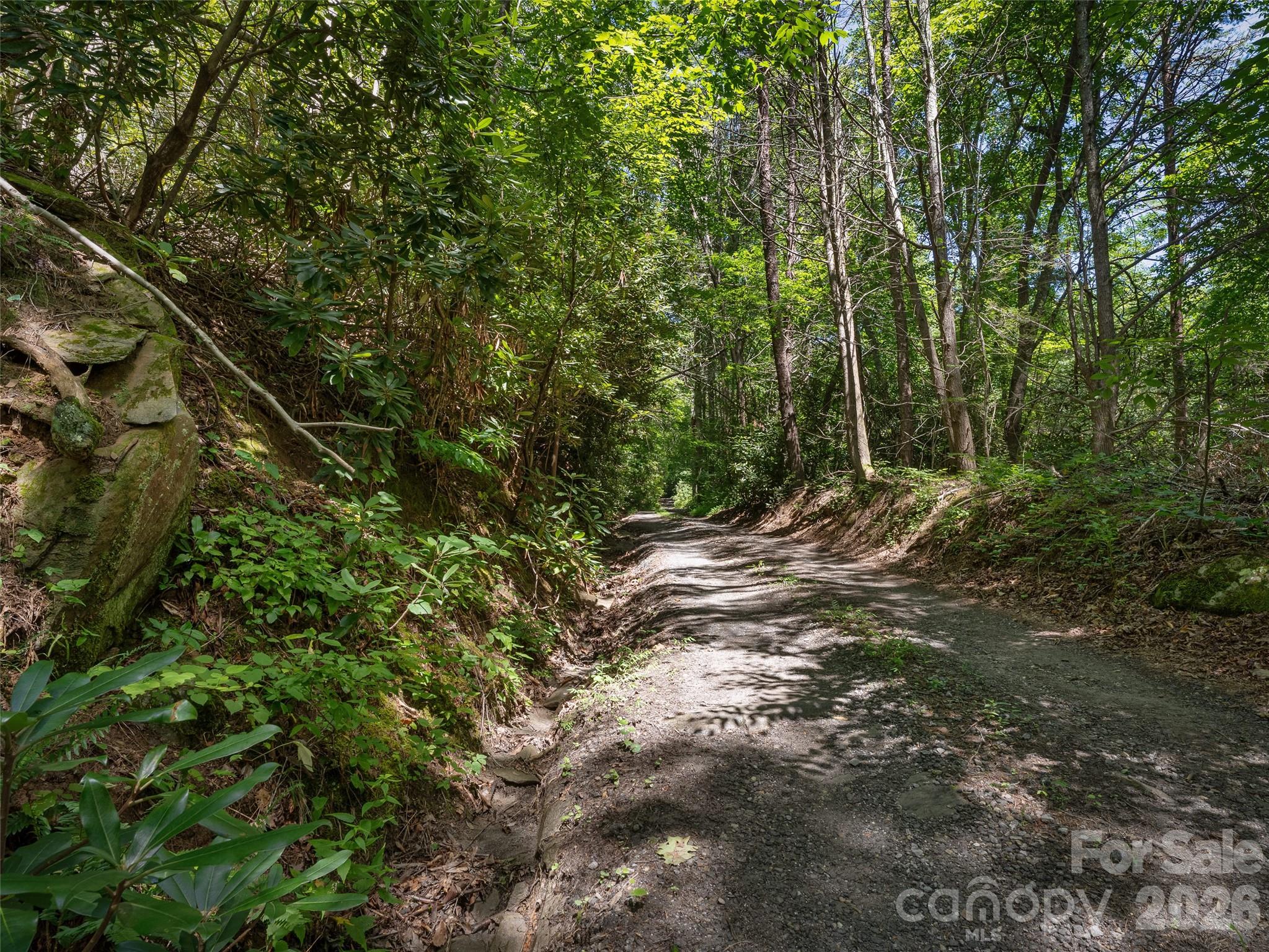 23.53 Acres Ballard Creek Road
