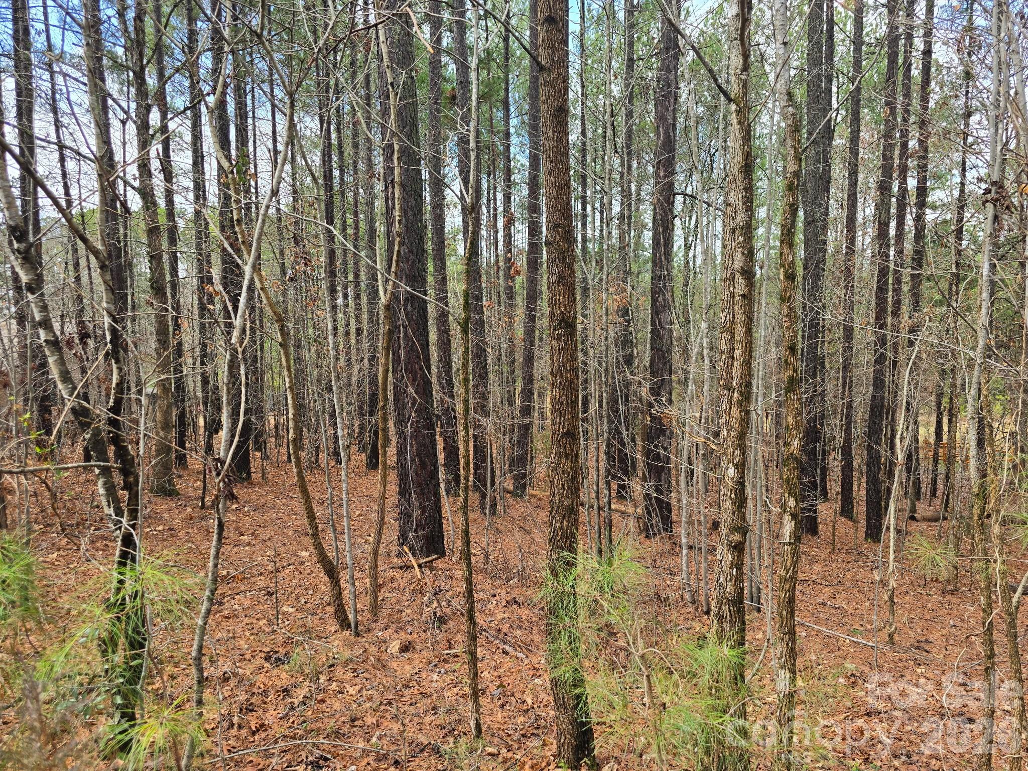 225 Cove Wood Drive, Denton, NC, 27239