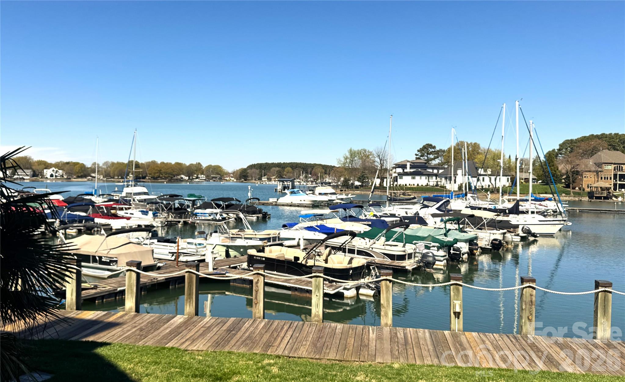 18695 Vineyard Point Lane