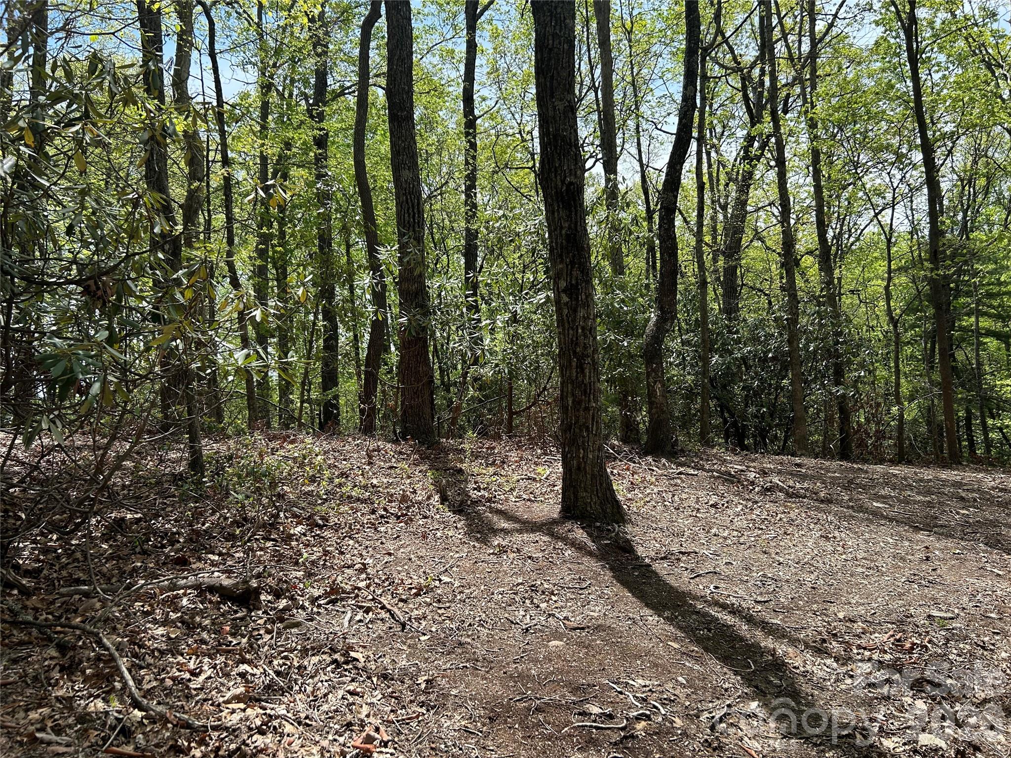 000 John Delk Road 2&6