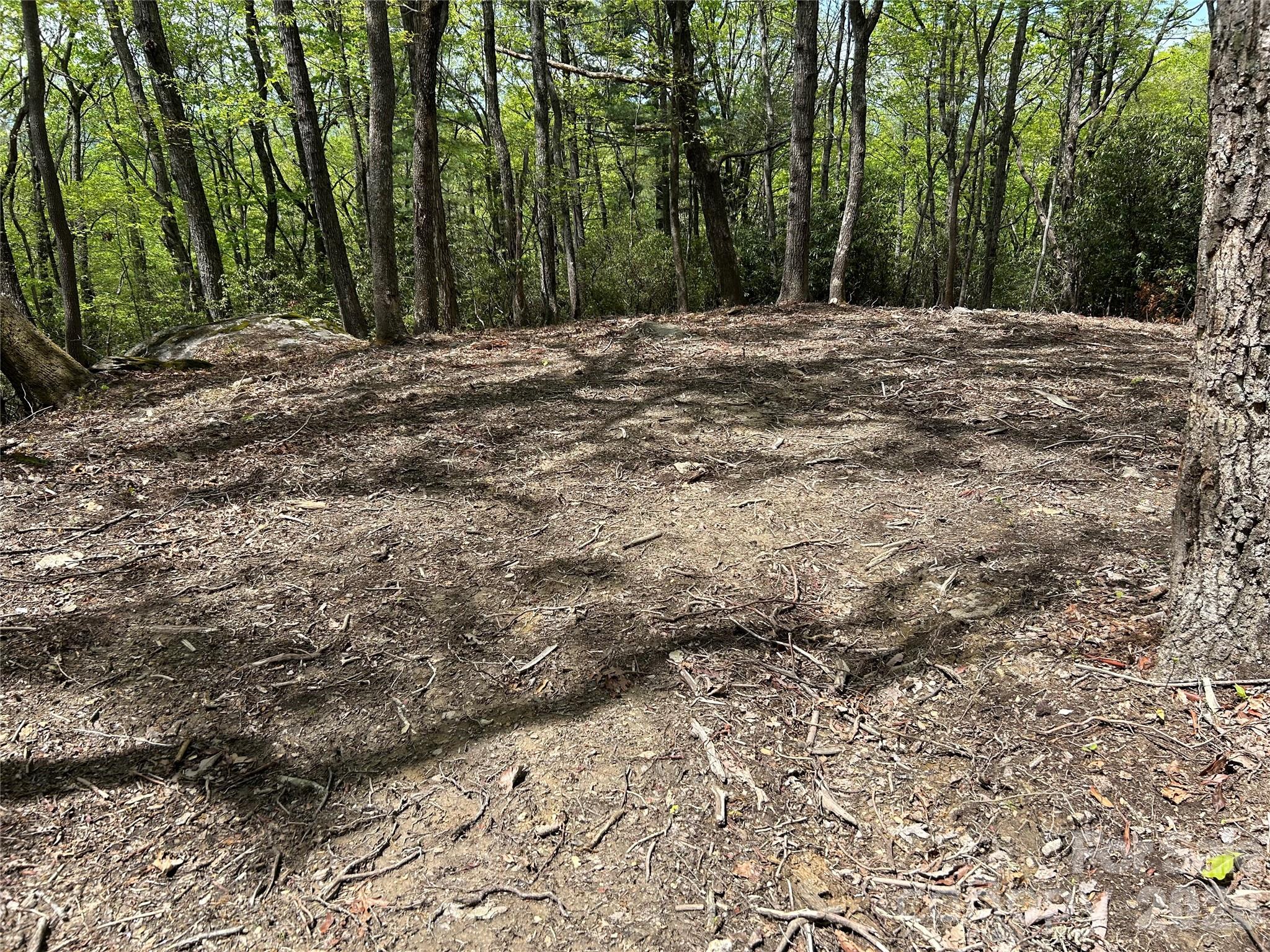 000 John Delk Road 2&6