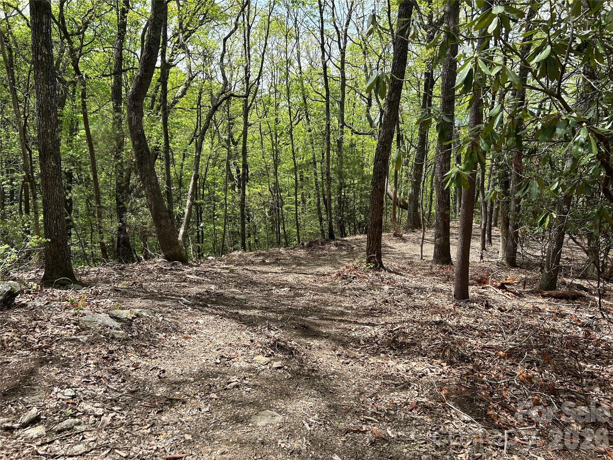 000 John Delk Road 2&6