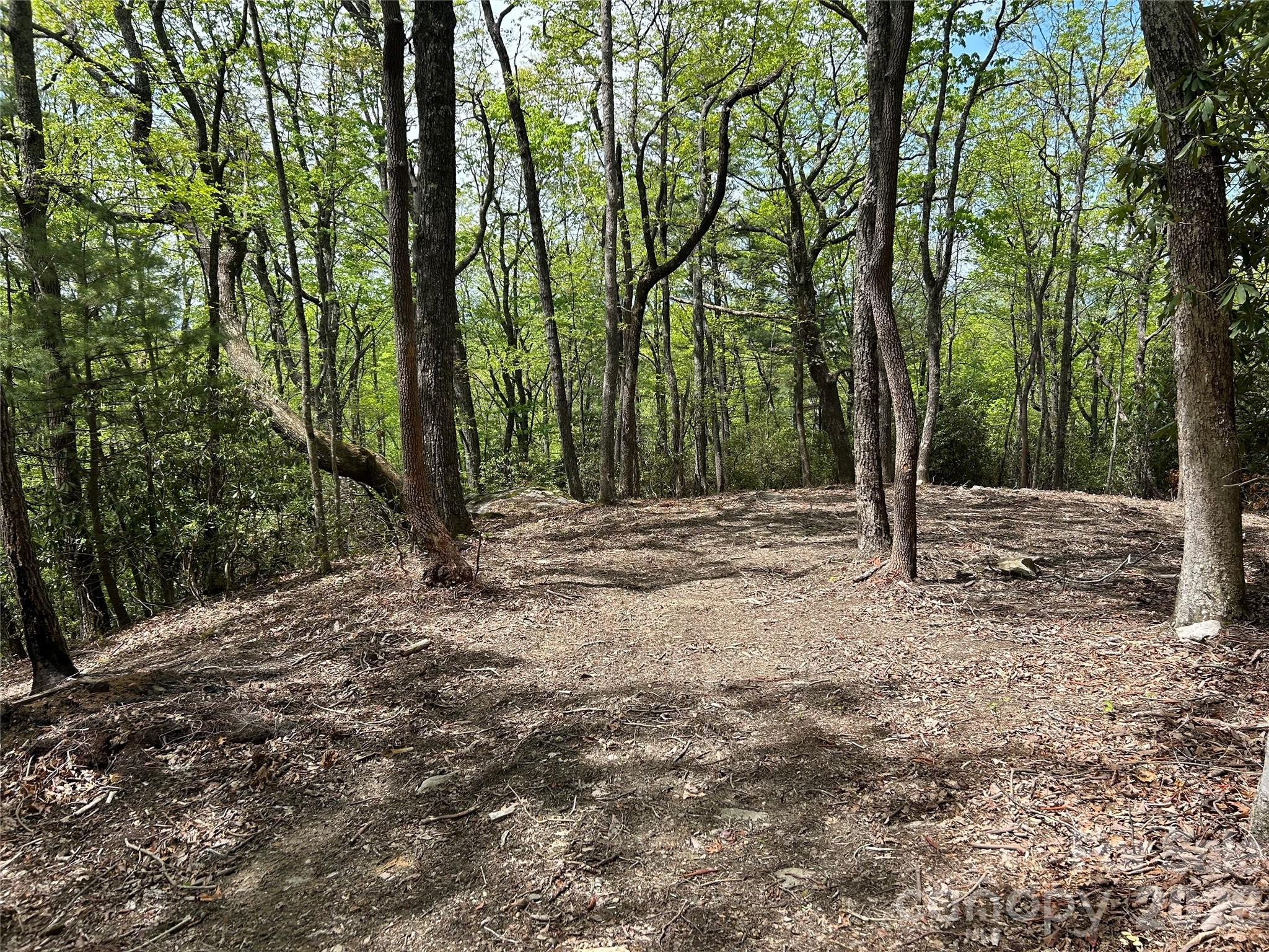 000 John Delk Road 2&6