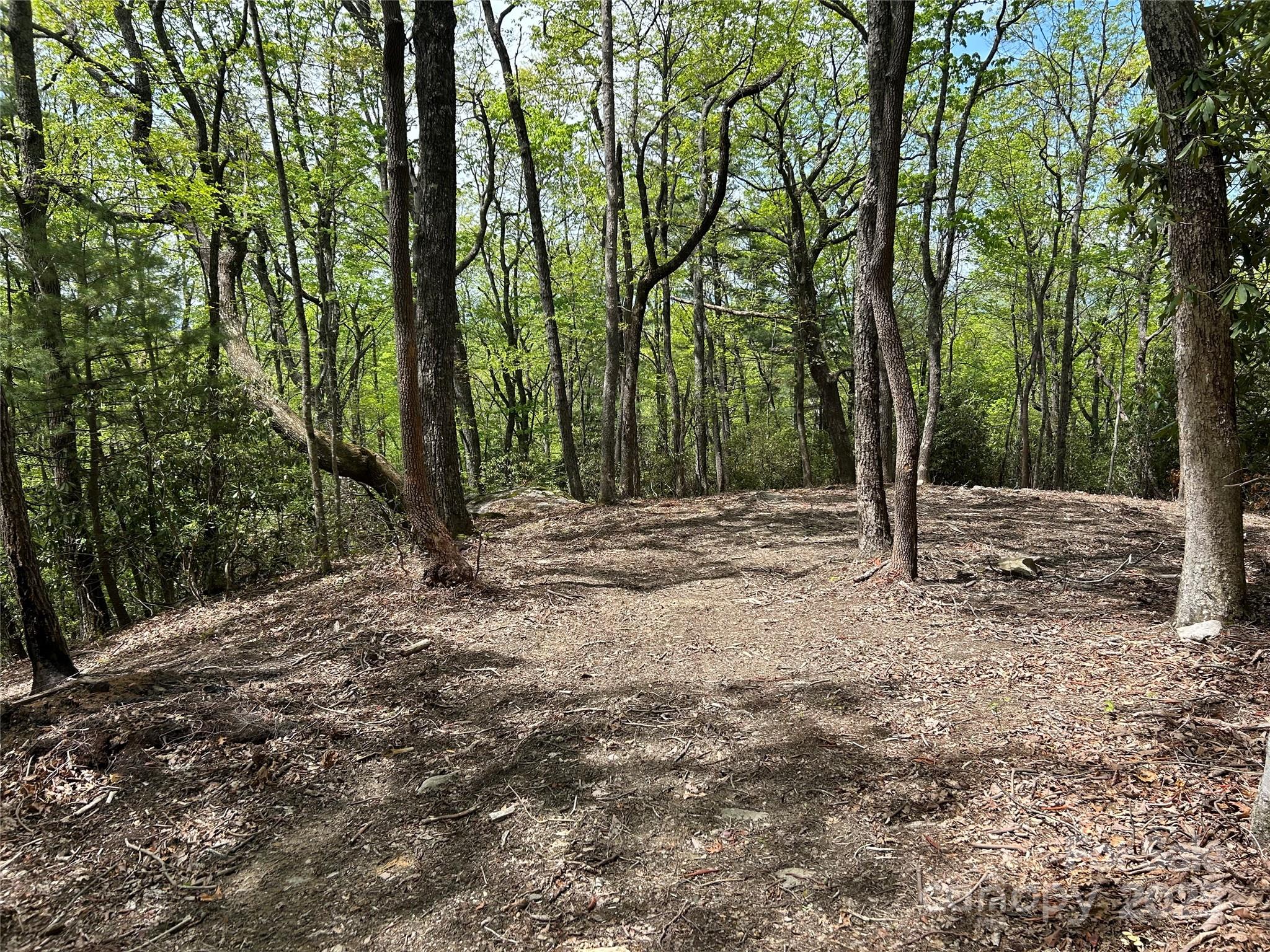 000 John Delk Road 2