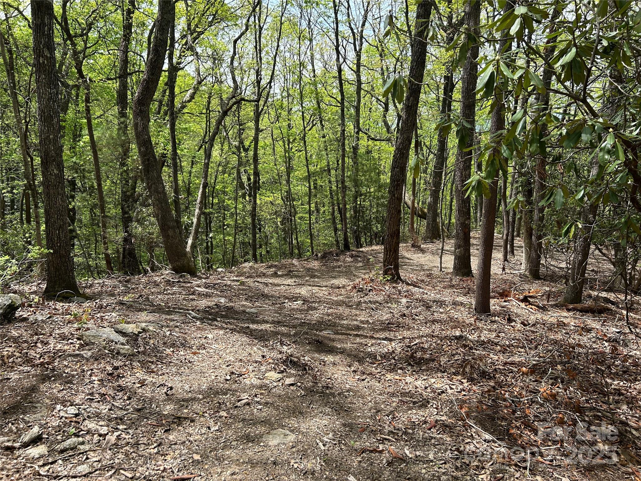 000 John Delk Road 2&6