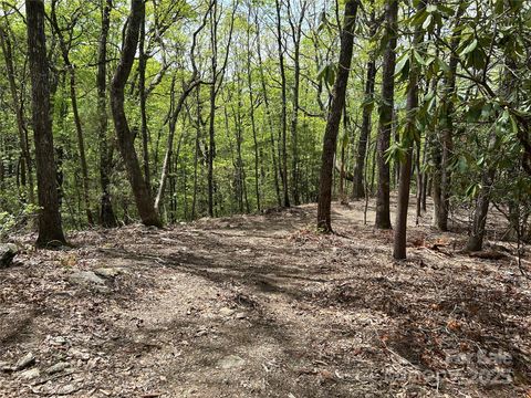 000 John Delk Road 2 Hendersonville NC 28792