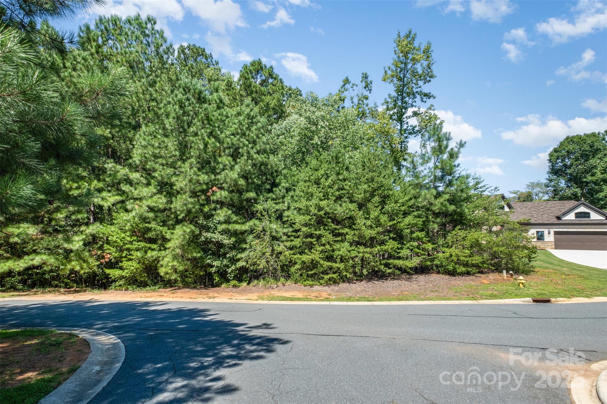 Reflection Pointe - Land