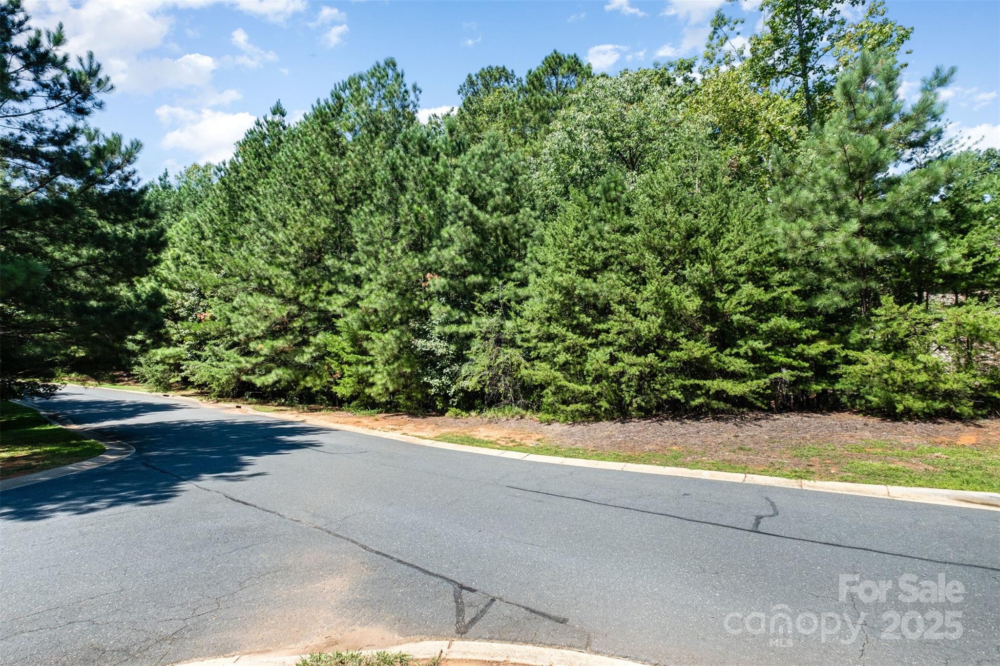 Reflection Pointe - Land