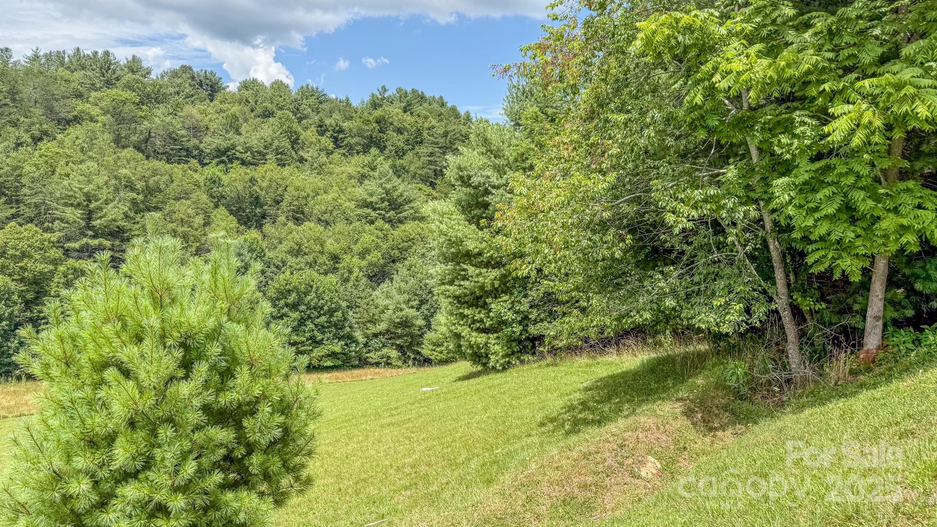 TBD lot 40 Creek Court