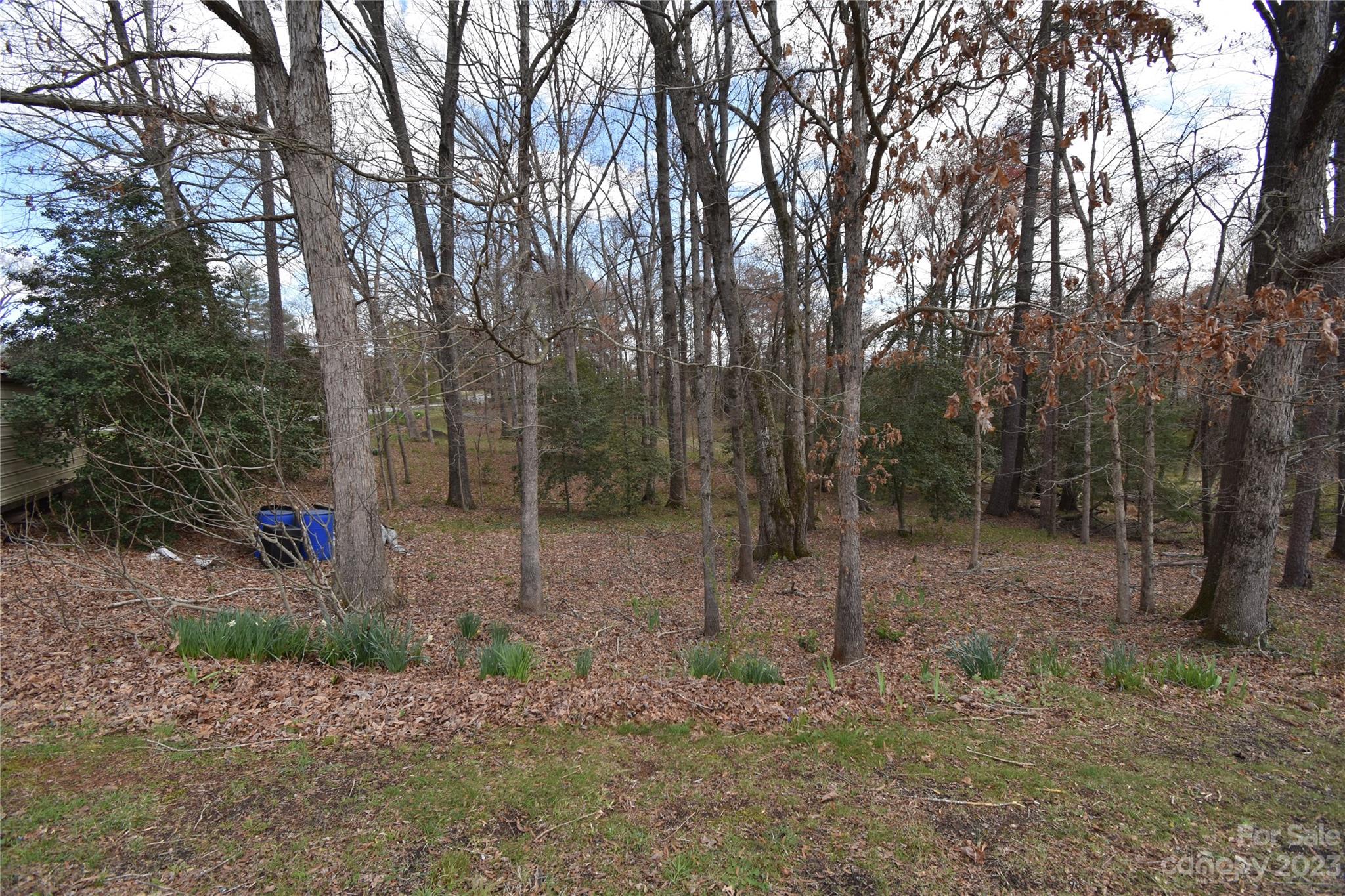 Wittenburg Village - Land