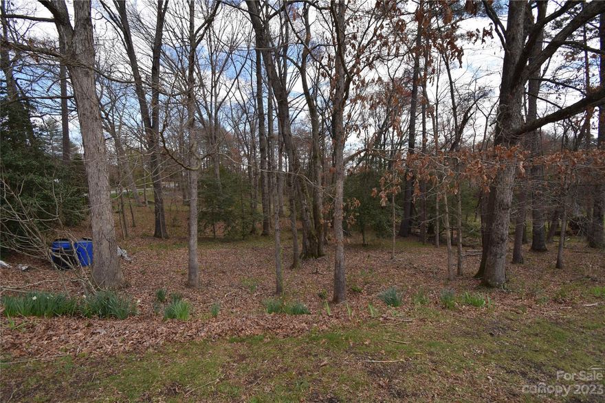 Wittenburg Village! Nice 0.67-acre lot is ready for your home. City of Hickory water at the street. A soil test will need to be done for the septic system. There are 2 other adjoining lots for sale. Outbuilding will be removed.