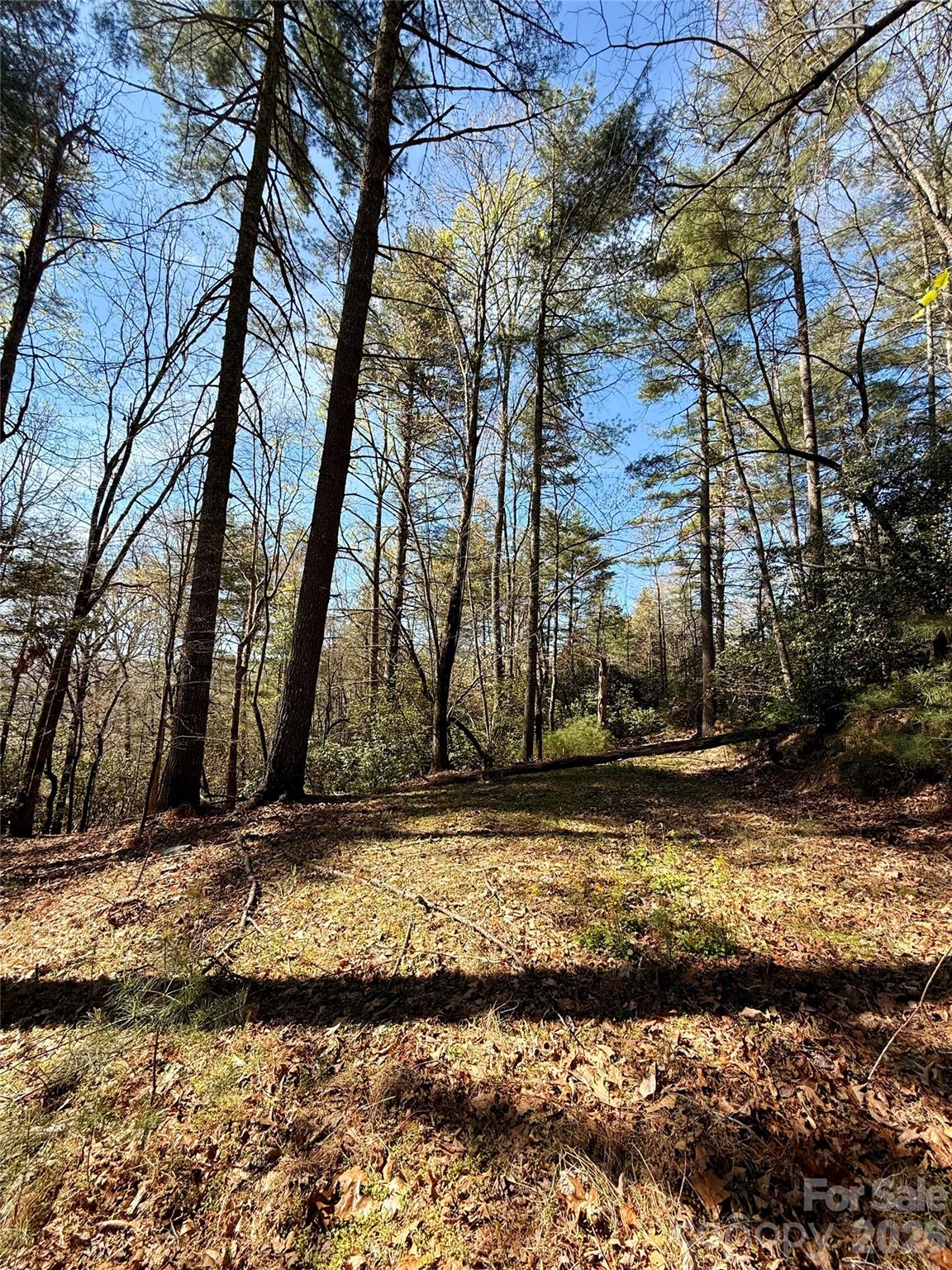 Emerald Hills - Land
