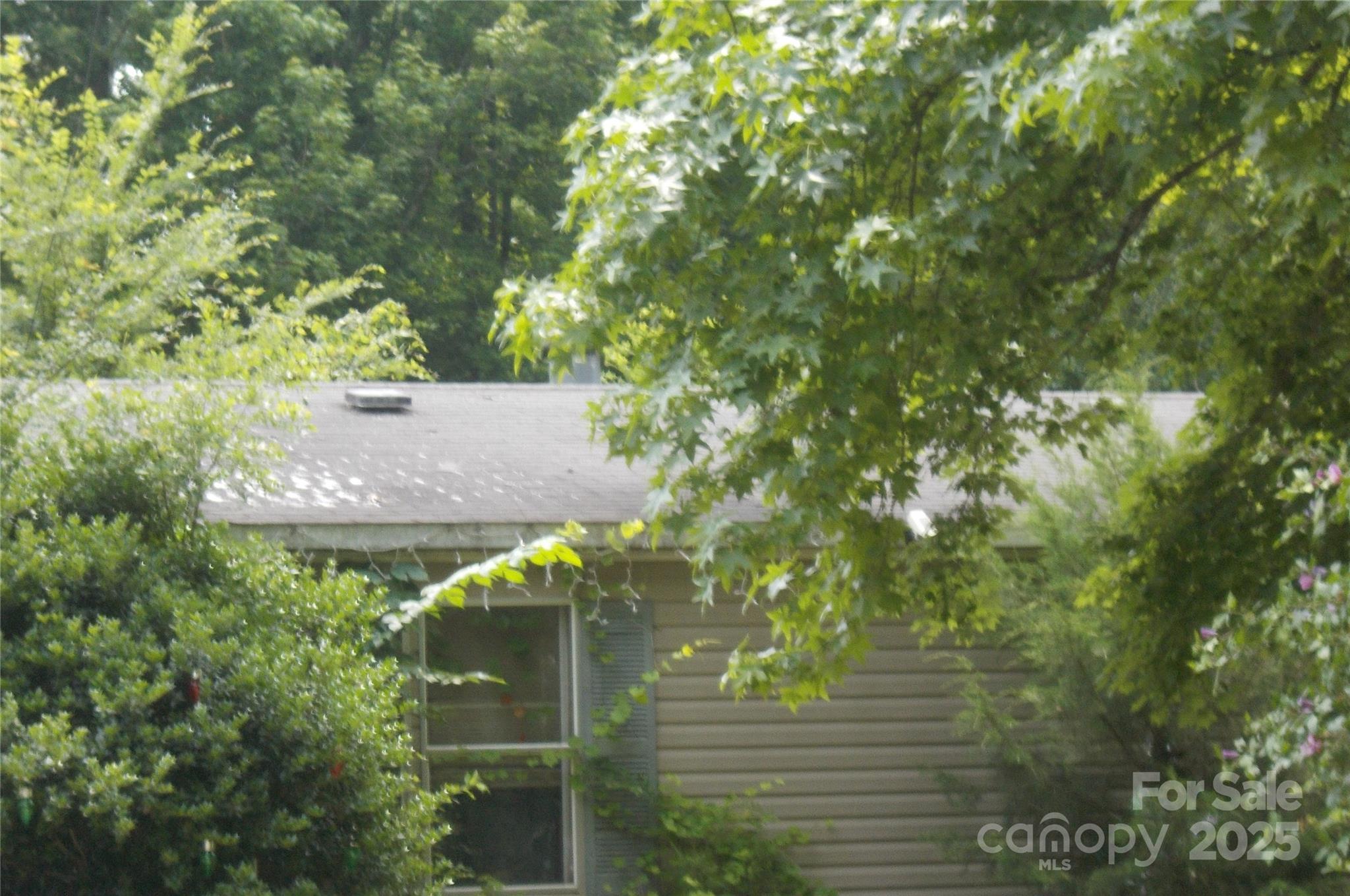 3815 Richard Coffey Lane