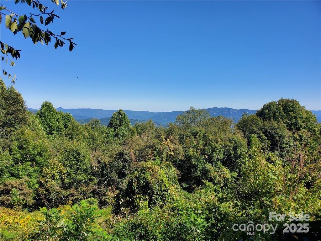 TBD Osborne Knob Road