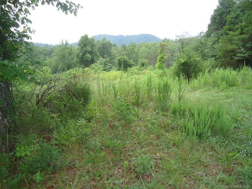 Long Range views with pastoral setting. 2.25 Acres ready for your next home, farm, or garden! Property has electricity, well, and septic, house has been removed. Shed and old chimney on property, paved frontage with drive in place. Less than 15 minutes to town!