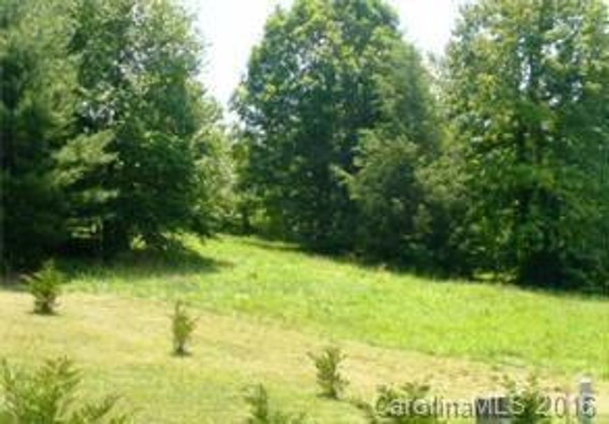 Beautiful lot in Estates of Hobson Branch (HOA not yet established).  Easy access to I-26 just 10 minutes to Weaverville and 18 minutes to Asheville.