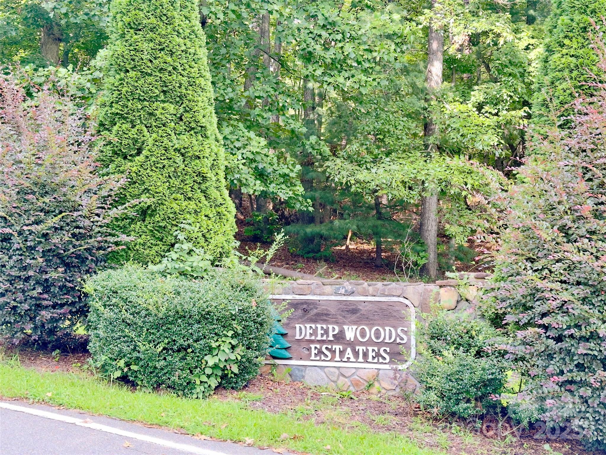 1039 Deep Woods Drive