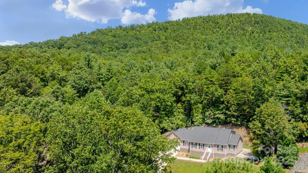 1039 Deep Woods Drive