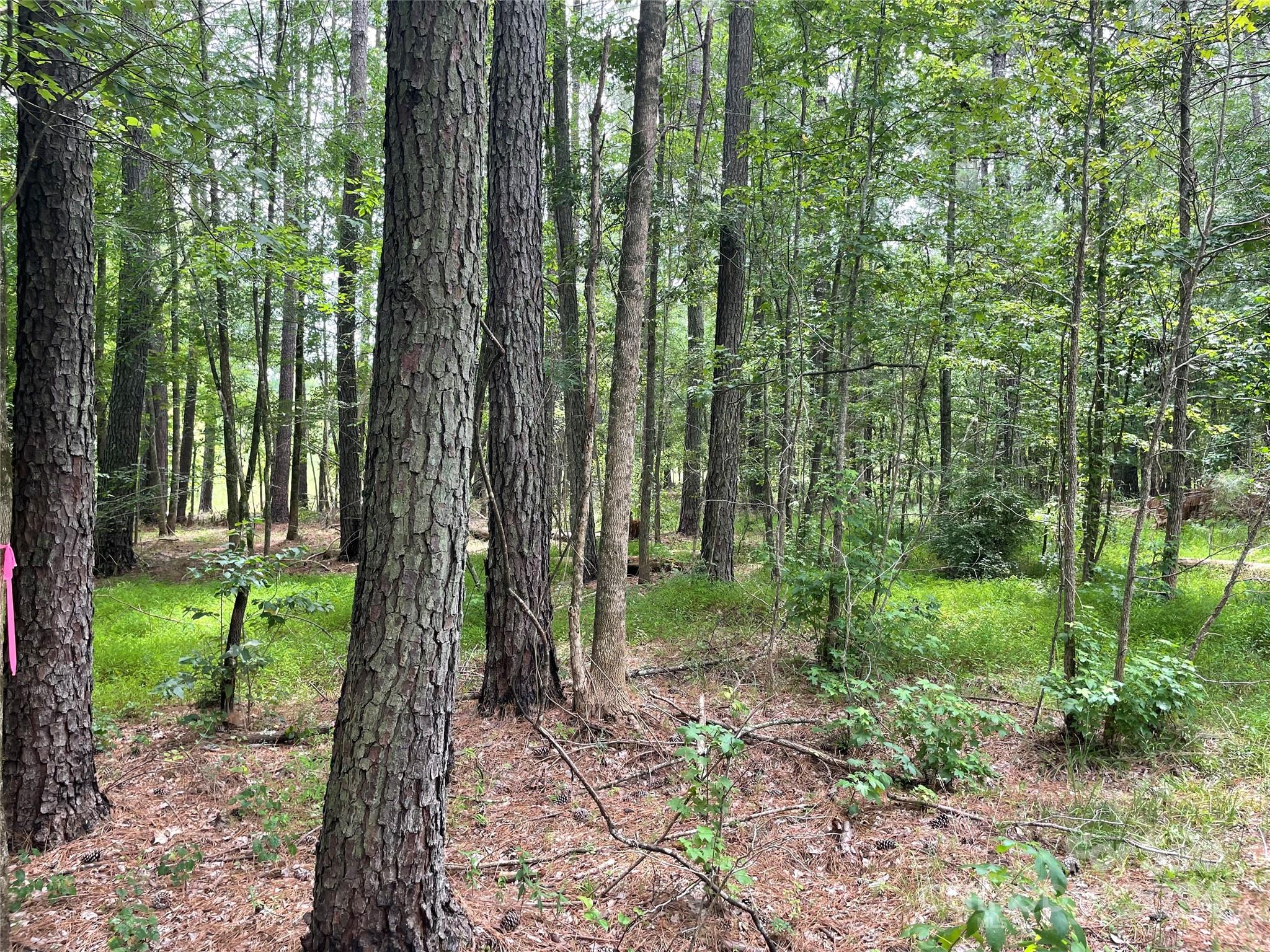 Riverchase Estates - Land