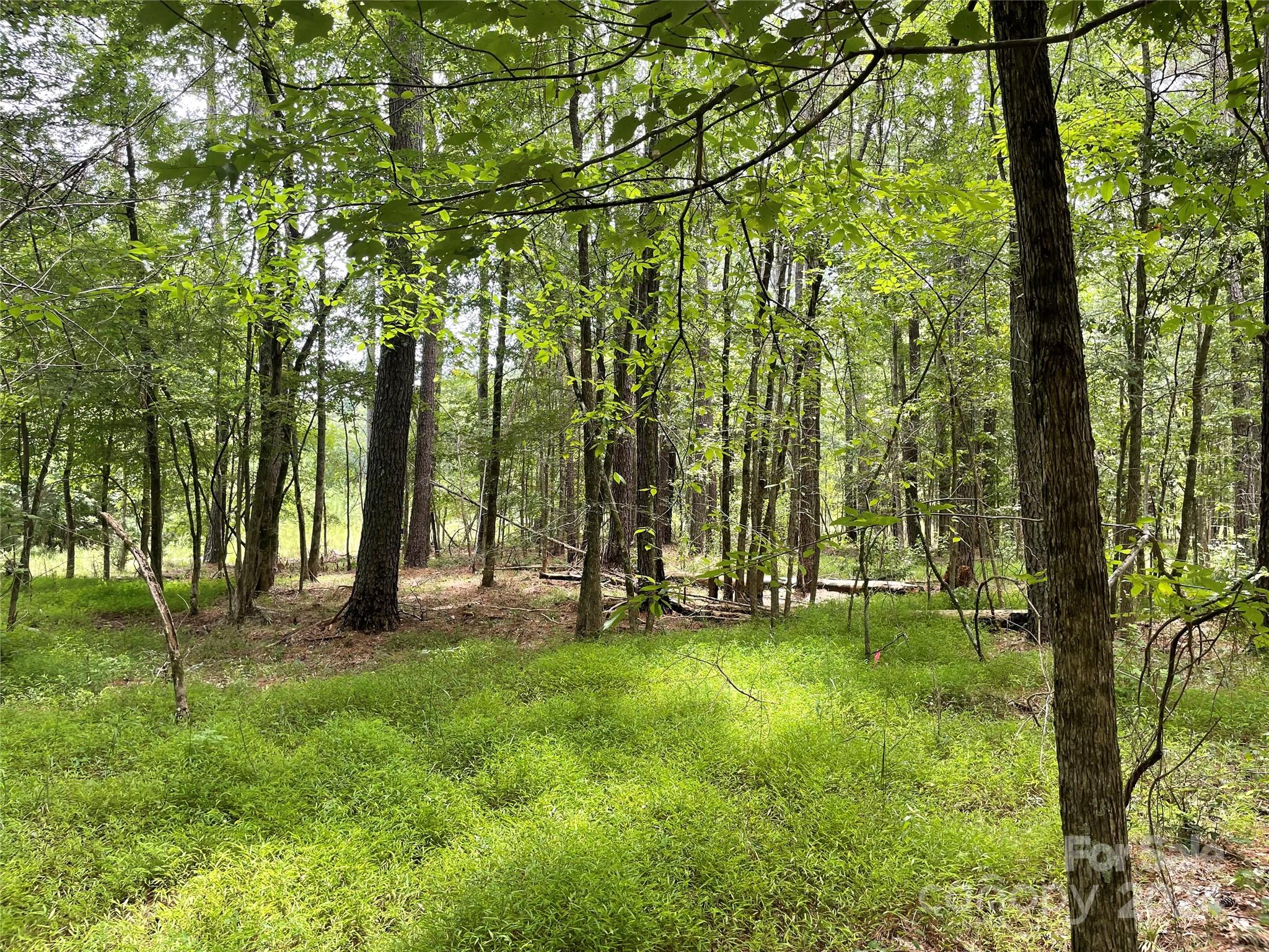 Riverchase Estates - Land