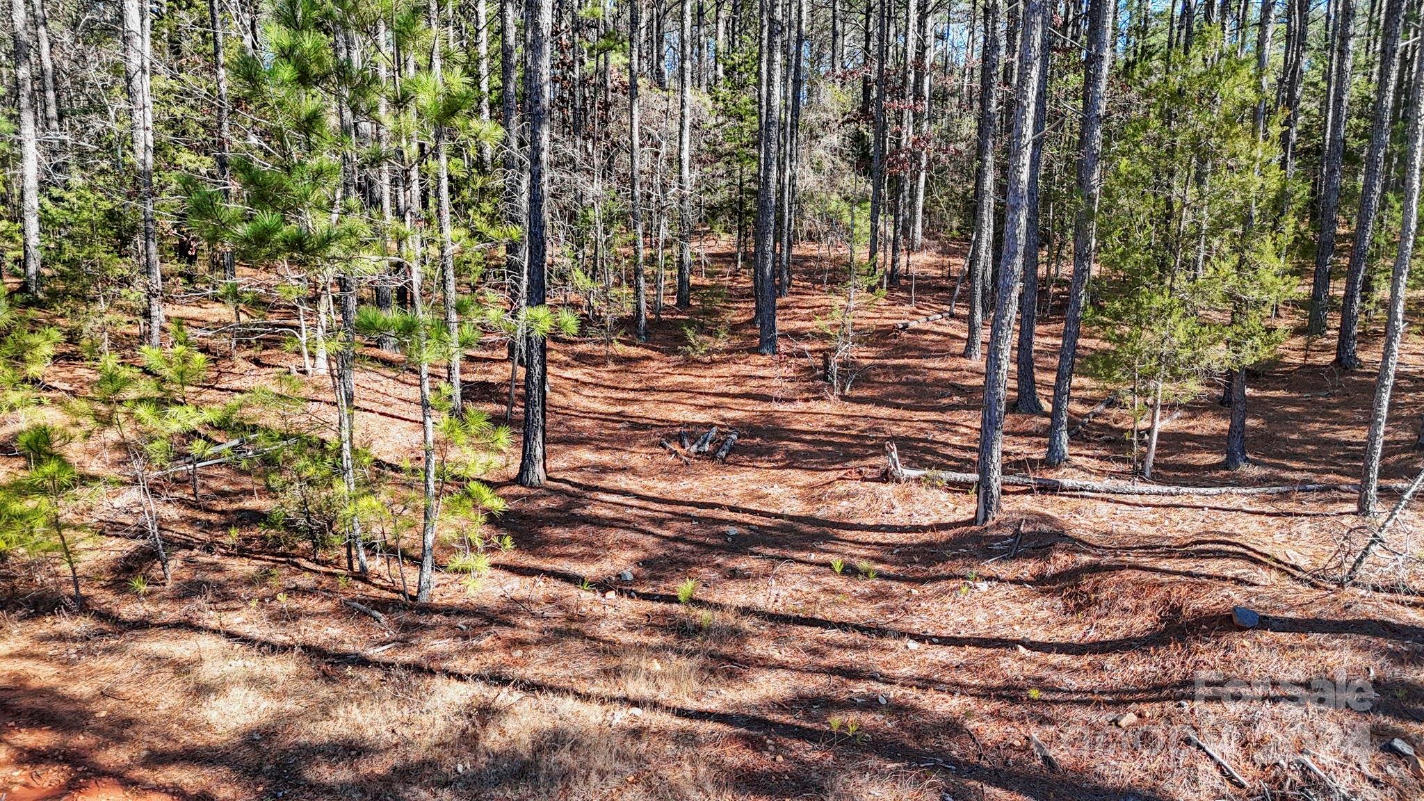 Riverchase Estates - Land