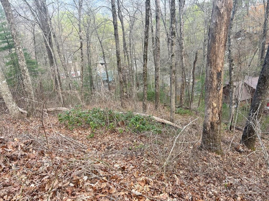 Lot 6 Biltmore Circle 6