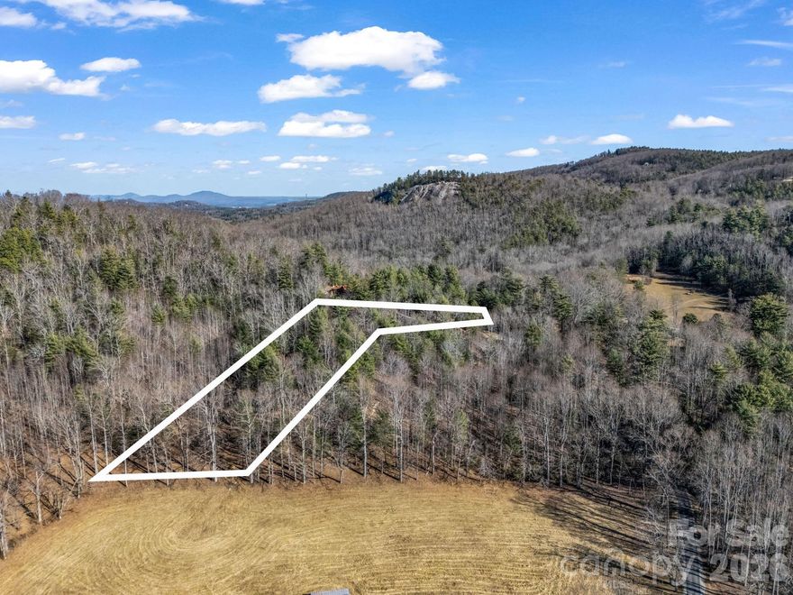 Beautiful lot that offers plenty of privacy and potential long range views.  Come build your dream home or homes on this beautiful lot! New survey reflects 1.36 acres - surveyor is finalizing the plat.  Two additional lots available for a total of 4.95 acres.  Expired septic permits and site plans available for 3 bedroom home.  County would need to reevaluate site plan and septic application will be necessary.