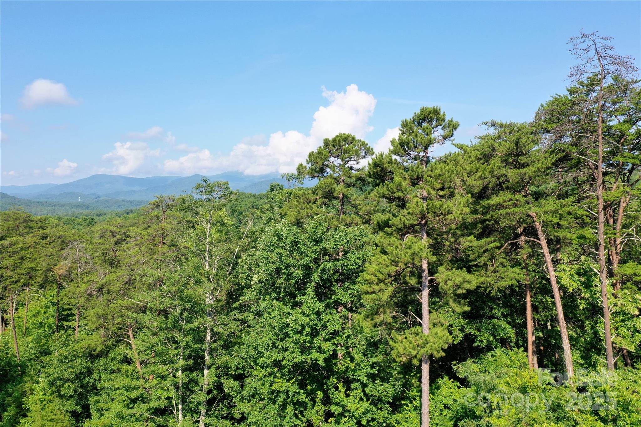 Vista At Bills Mountain - Land