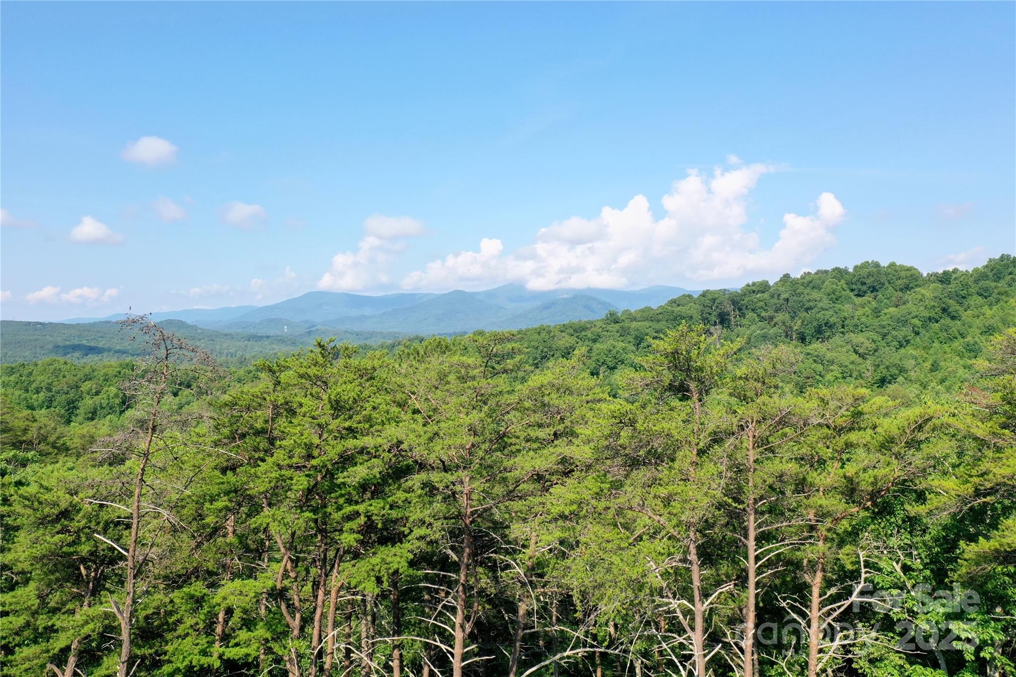 Vista At Bills Mountain - Land