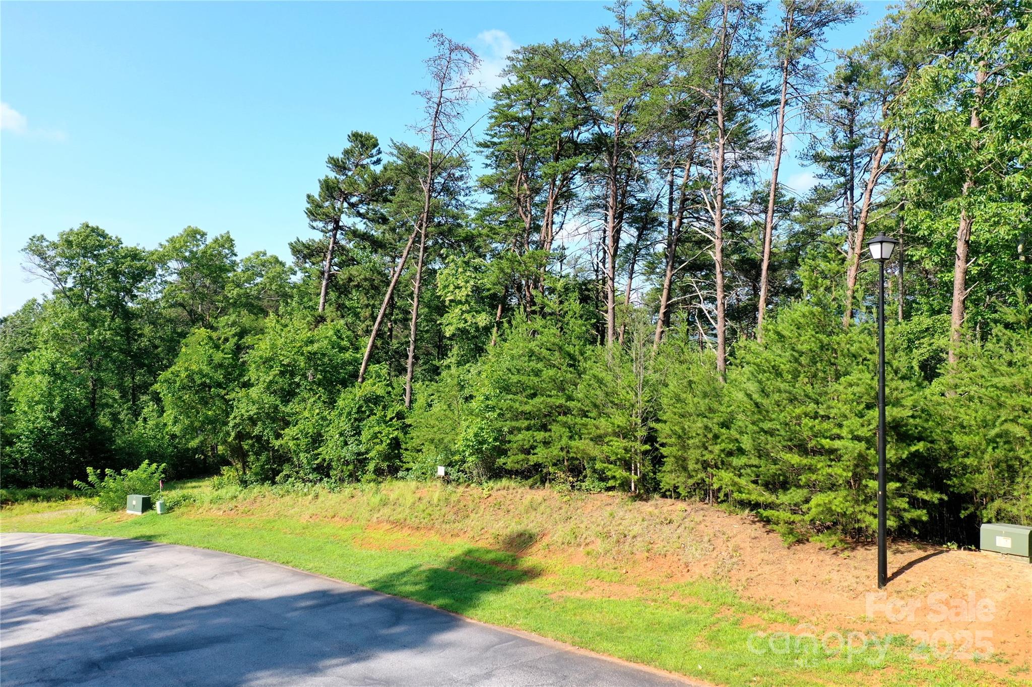 Vista At Bills Mountain - Land