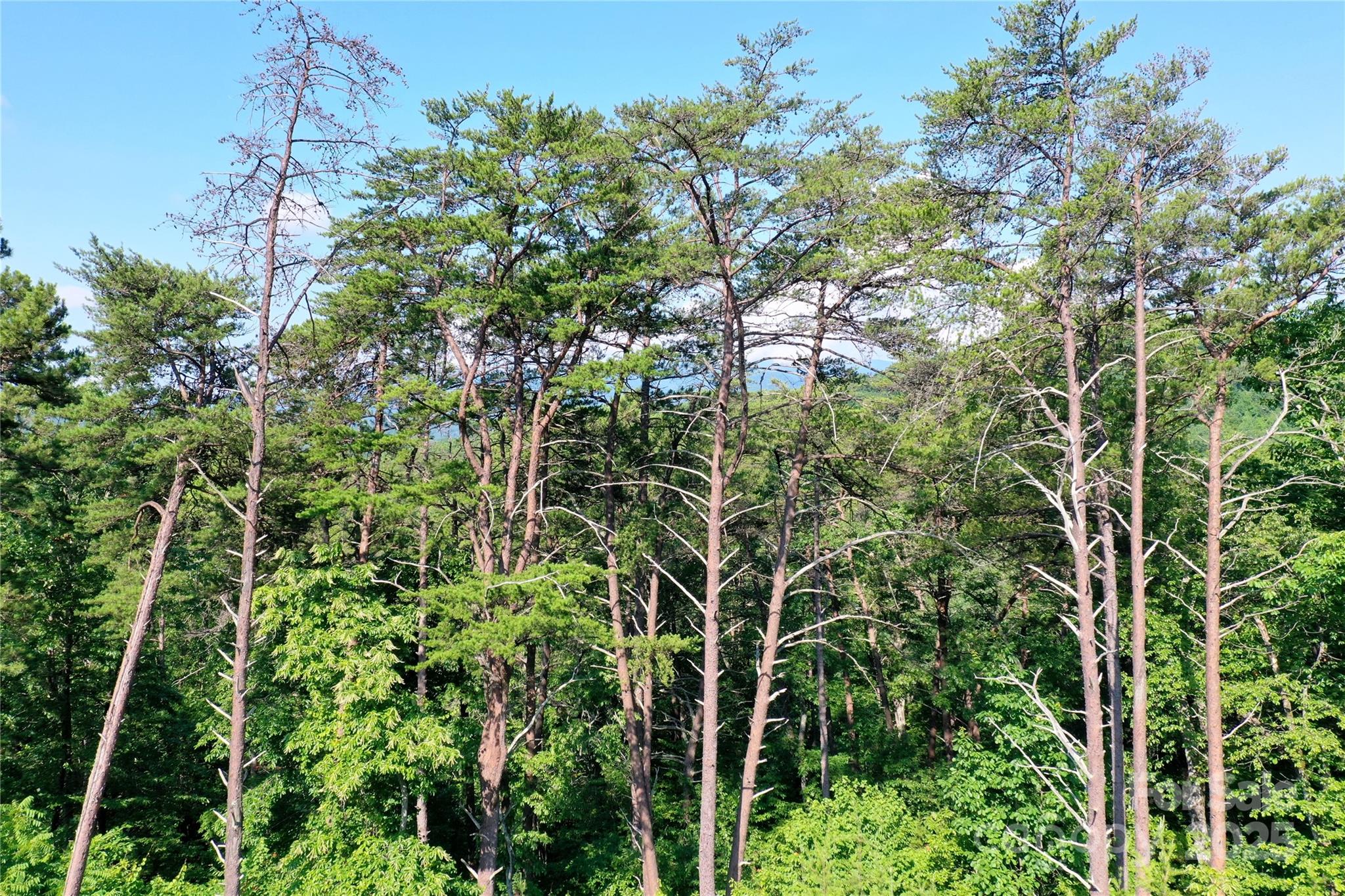 Vista At Bills Mountain - Land