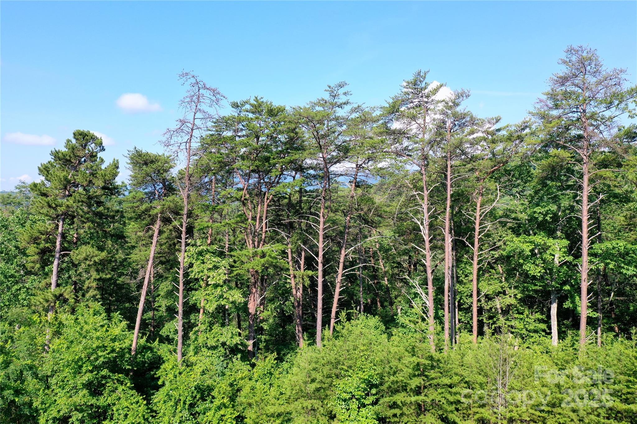 241 Rock Ledge Drive