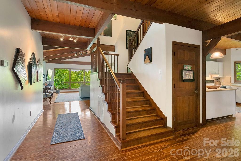 118 Little Bear Lane