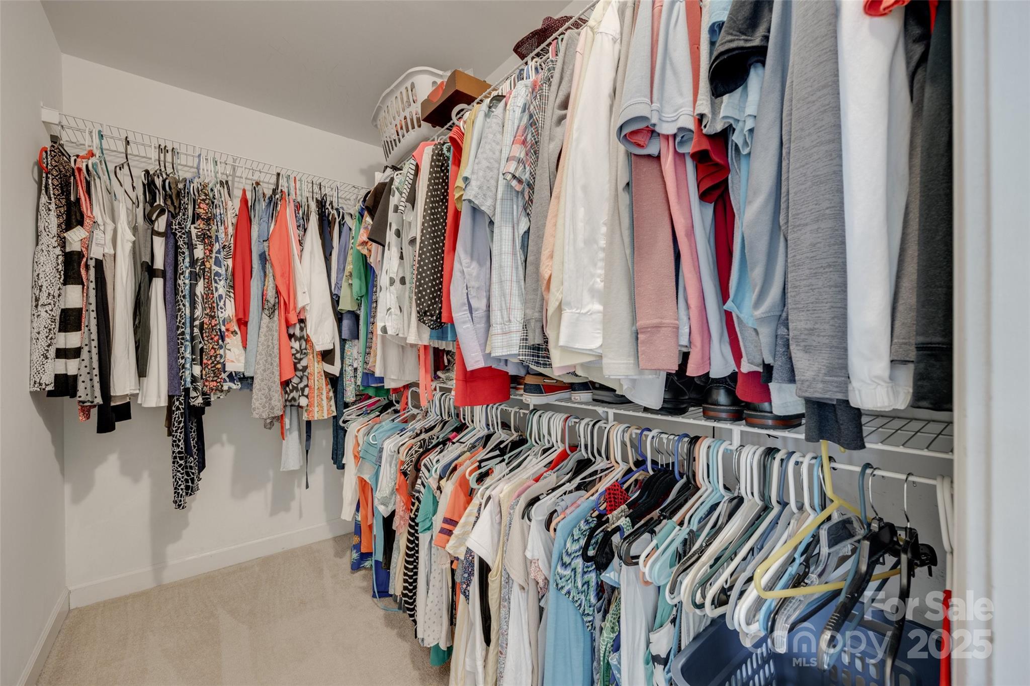 Hidden Forest - Residential