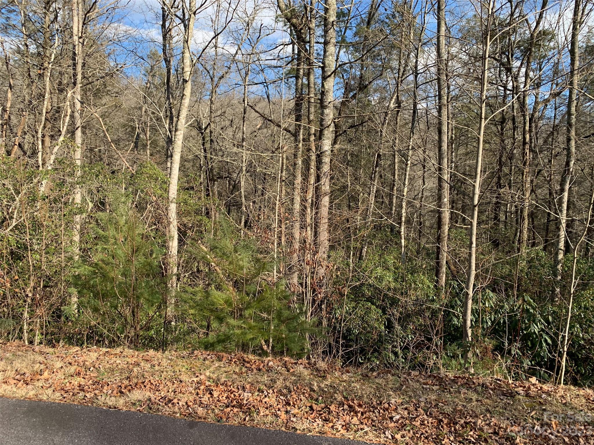 126 Green Hollow Lane