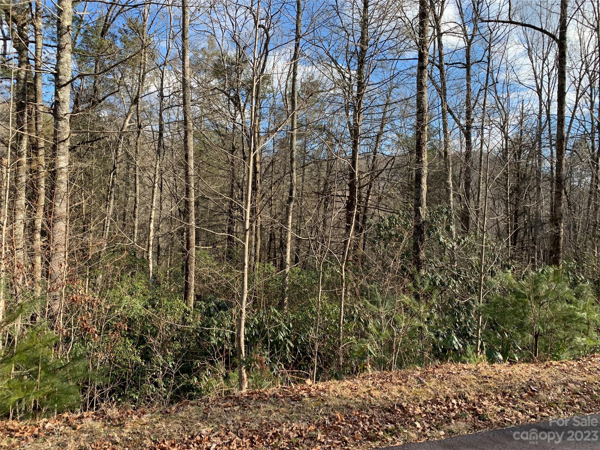 126 Green Hollow Lane